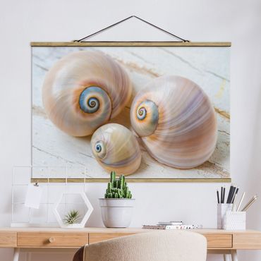 Fabric print with poster hangers - Clam Trio On Wood