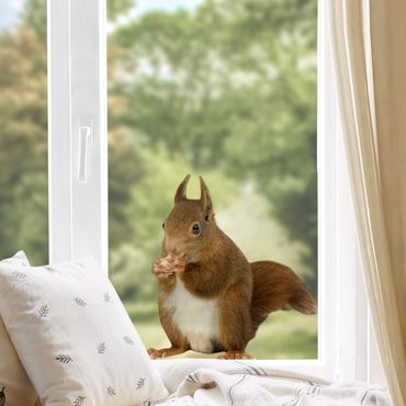 Window sticker - Squirrel