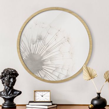 Circular framed print - A Touch Dandelion