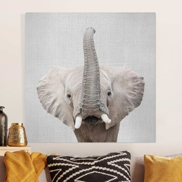 Canvas print - Elephant Ewald - Square 1:1