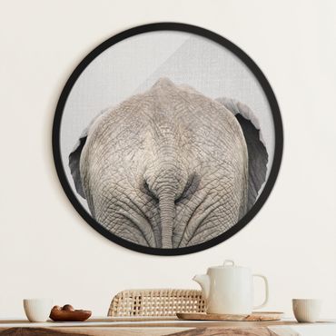 Circular framed print - Elephant From Behind