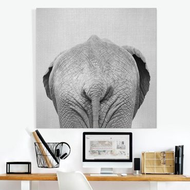 Canvas print - Elephant From Behind Black And White - Square 1:1