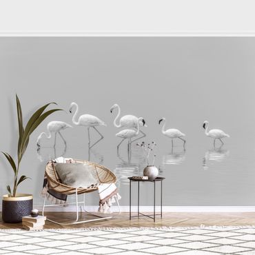 Wallpaper - Elegant Flamingos