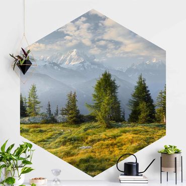 Self-adhesive hexagonal pattern wallpaper - Émosson Wallis Switzerland