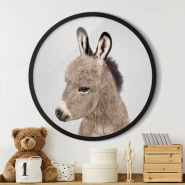 Circular framed print - Donkey Ernesto