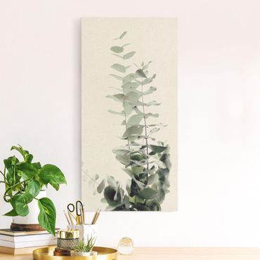 Natural canvas print - Eucalyptus In White Light - Portrait format 1:2