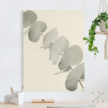 Natural canvas print - Eucalyptus Branch In White Light - Portrait format 3:4