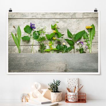 Poster - Medicinal and Meadow Herbs