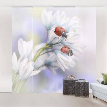 Sliding panel curtains set - Ladybird Couple