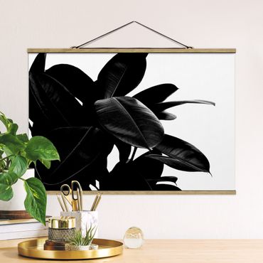 Fabric print with poster hangers - Rubber Tree Black And White