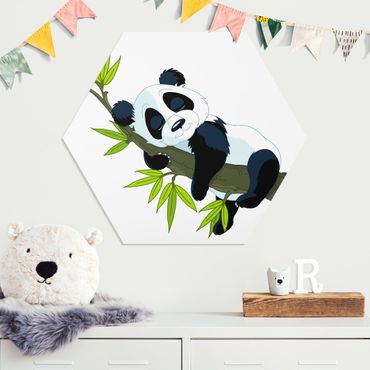 Forex hexagon - Sleeping Panda