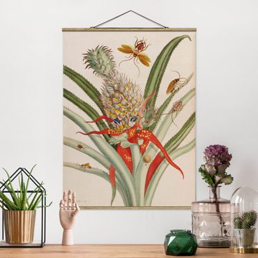 Fabric print with poster hangers - Anna Maria Sibylla Merian - Pineapple With Insects