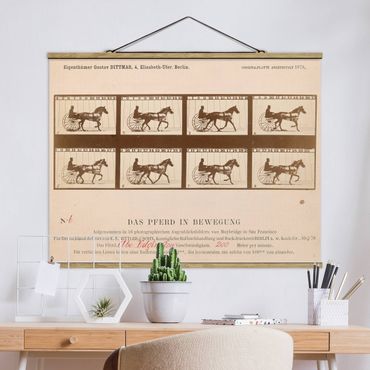 Fabric print with poster hangers - Eadweard Muybridge - The horse in Motion
