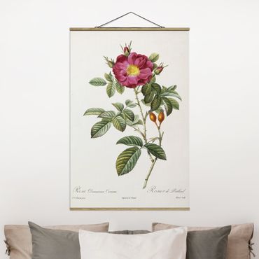 Fabric print with poster hangers - Pierre Joseph Redoute - Portland Rose
