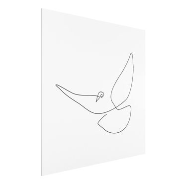 Print on forex - Dove Line Art