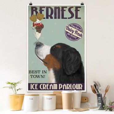 Poster - Bernese Mountain Dog With Ice
