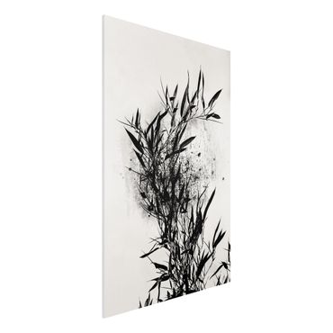 Print on forex - Graphical Plant World - Black Bamboo