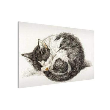 Magnetic memo board - Vintage Drawing Cat II
