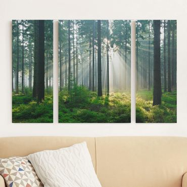 Print on canvas 3 parts - Enlightened Forest