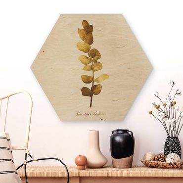Wooden hexagon - Gold - Eucalyptus
