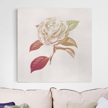 Print on canvas - Modern Vintage Botanik Rose Red Green