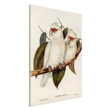 Magnetic memo board - Vintage Illustration White Cockatoo