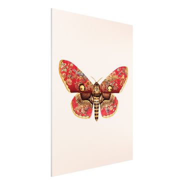 Print on forex - Vintage Moth