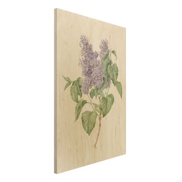 Print on wood - Maria Geertruyd Barber-Snabilie - Lilac
