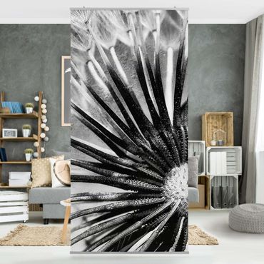 Room divider - Dandelion Black & White