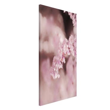 Magnetic memo board - Cherry Blossoms In Purple Light