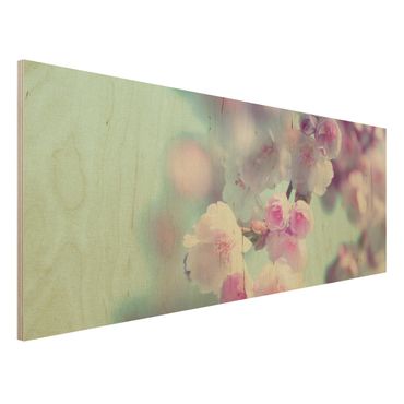 Wood print - Colourful Cherry Blossoms