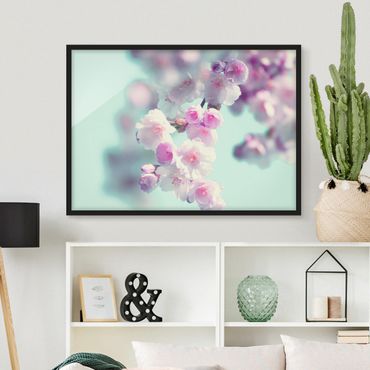 Framed poster - Colourful Cherry Blossoms