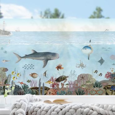 Window decoration - Fascinating creatures on the coral reef