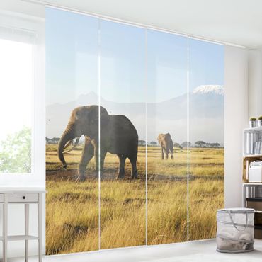 Sliding panel curtains set - Elephants In Front Of The Kilimanjaro In Kenya