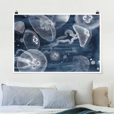 Poster - Moon Jellyfish I