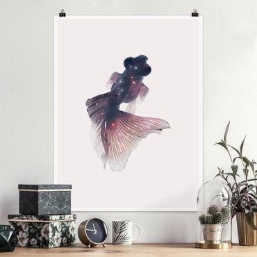 Poster - Fish With Galaxy