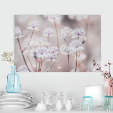 Canvas print - Wild Flowers Light As A Feather