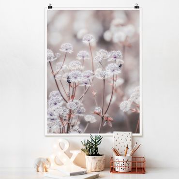 Poster - Wild Flowers Light As A Feather