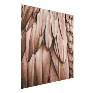 Print on forex - Feathers In Rosegold - Square 1:1