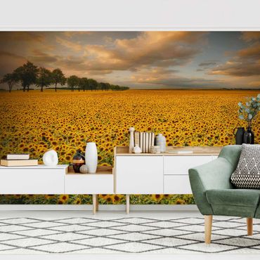 Wallpaper - Field With Sunflowers