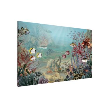 Magnetic memo board - View from afar in the coral reef