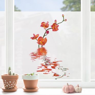 Window decoration - Flamy Orchid Waters