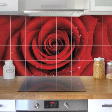 Tile sticker - Red rose with water drops