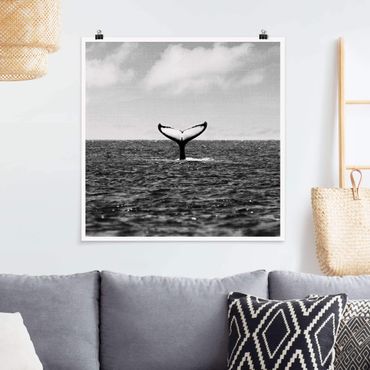 Poster art print - Tail Fin In Mid Ocean