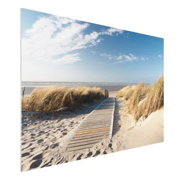 Forex print - Baltic Sea Beach
