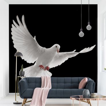 Wallpaper - Dove Of Peace