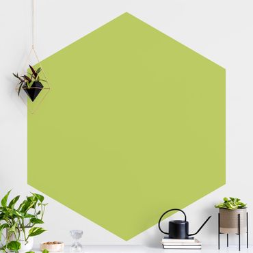 Self-adhesive hexagonal pattern wallpaper - Spring Green