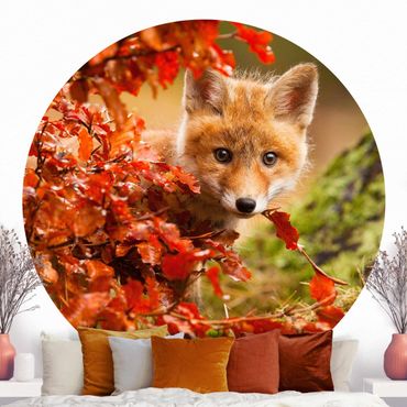 Self-adhesive round wallpaper kids - Fox In Autumn
