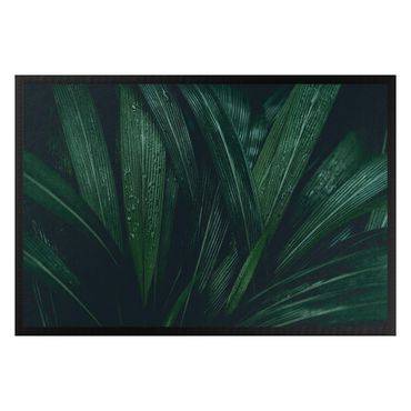 Doormat - Jungle