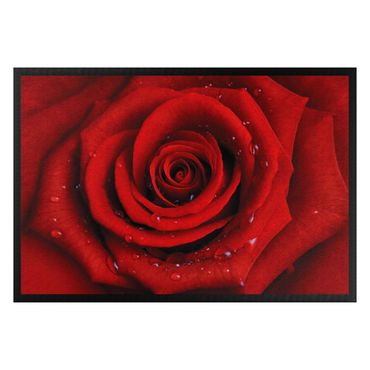 Doormat - Red Rose With Water Drops